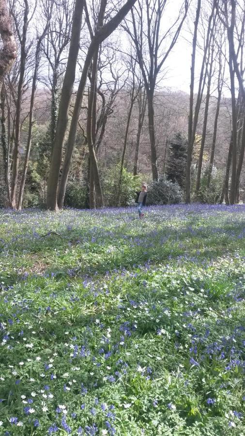La Parenthese Bois De Cise Lägenhet Ault Exteriör bild