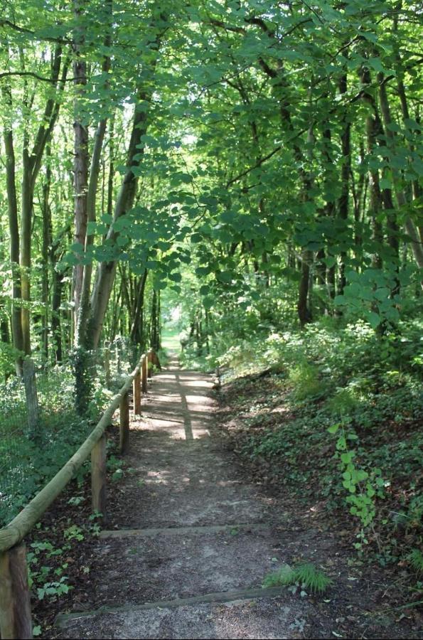 La Parenthese Bois De Cise Lägenhet Ault Exteriör bild