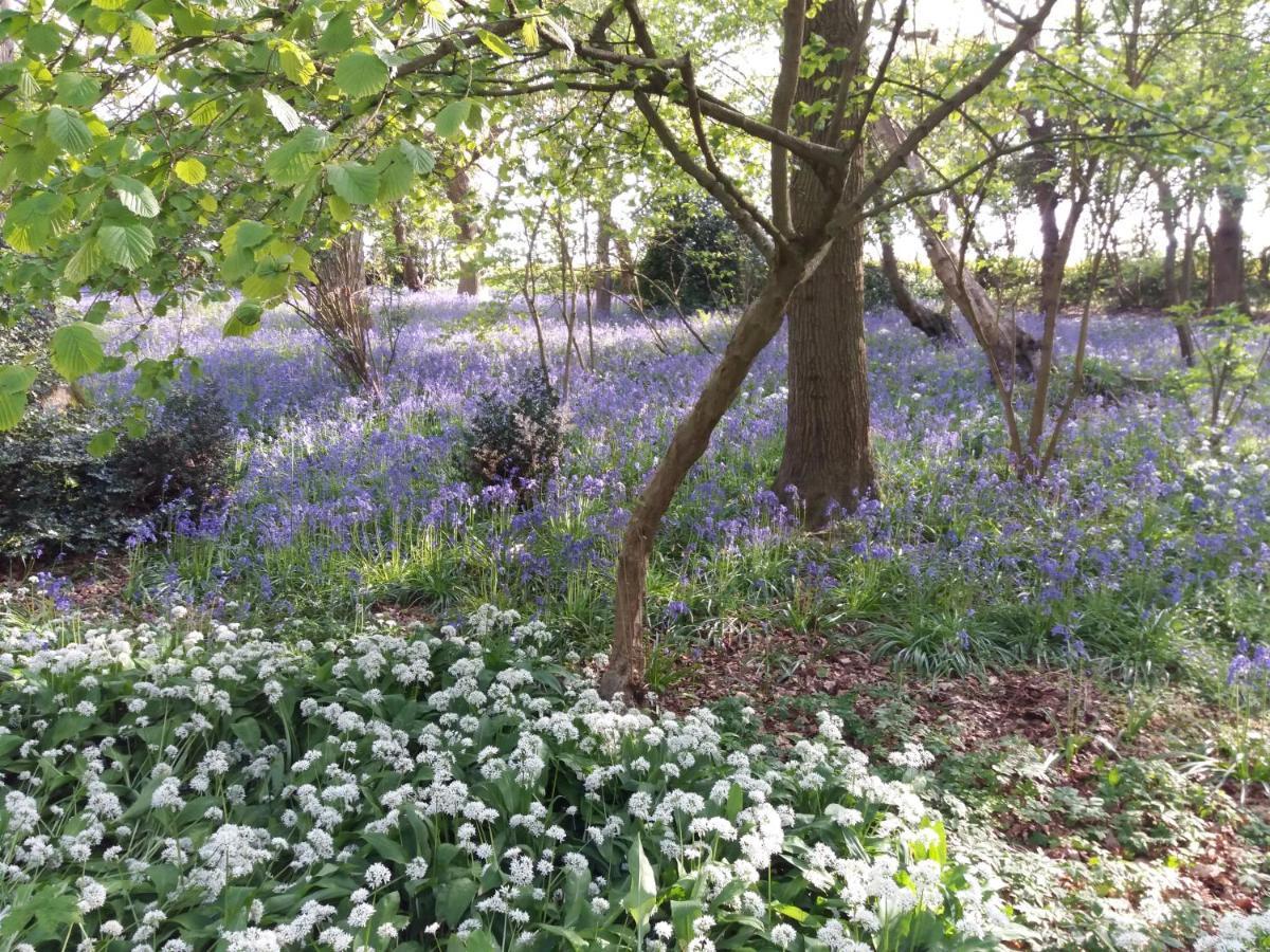 La Parenthese Bois De Cise Lägenhet Ault Exteriör bild
