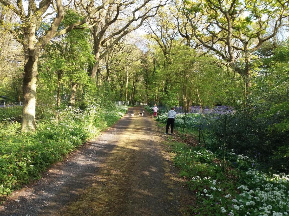 La Parenthese Bois De Cise Lägenhet Ault Exteriör bild
